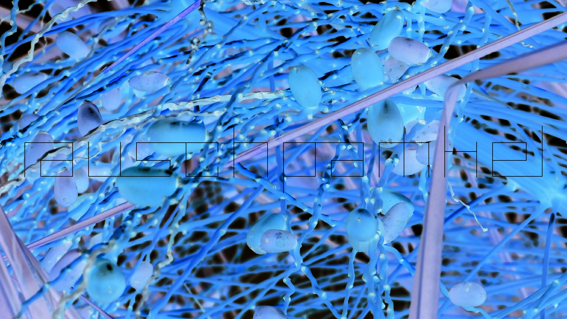 2022-04-25 Cas Abao (Foto)