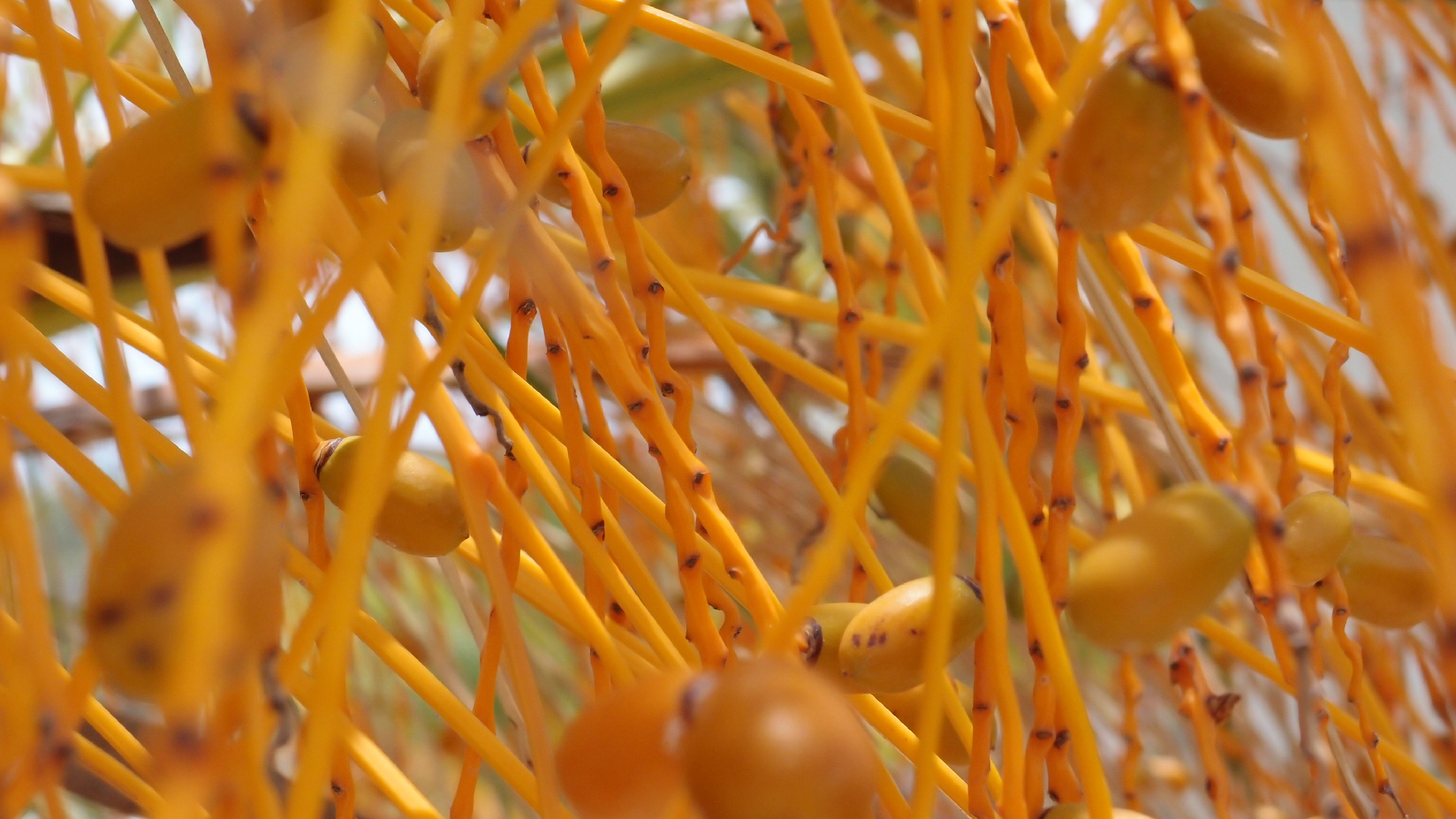 2022-04-25 Cas Abao (Foto)