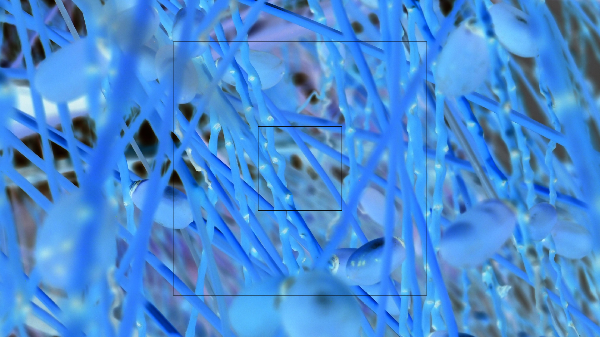 2022-04-25 Cas Abao (Foto)