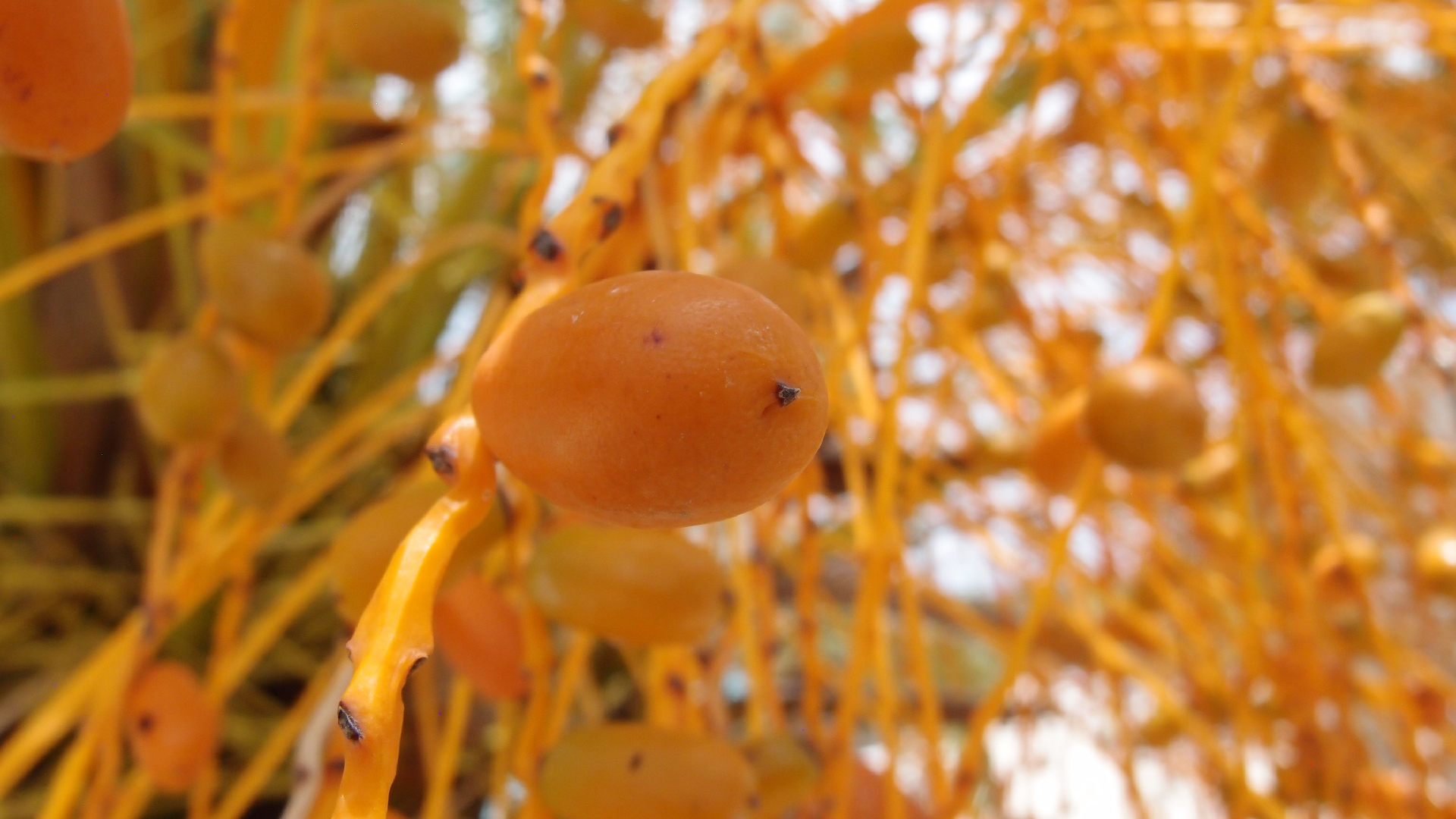 2022-04-25 Cas Abao (Foto)