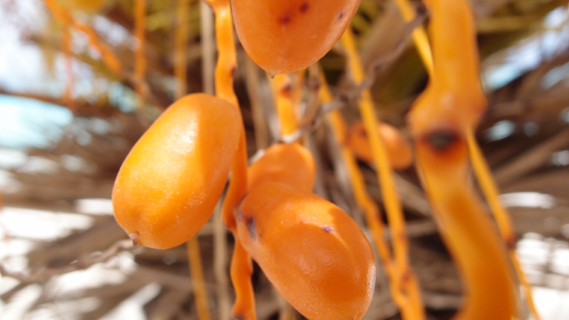 2022-04-25 Cas Abao (Foto)