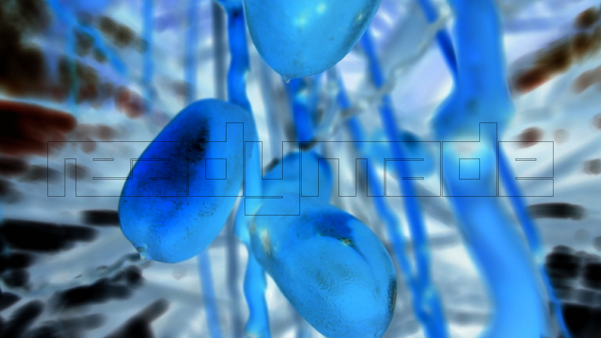 2022-04-25 Cas Abao (Foto)