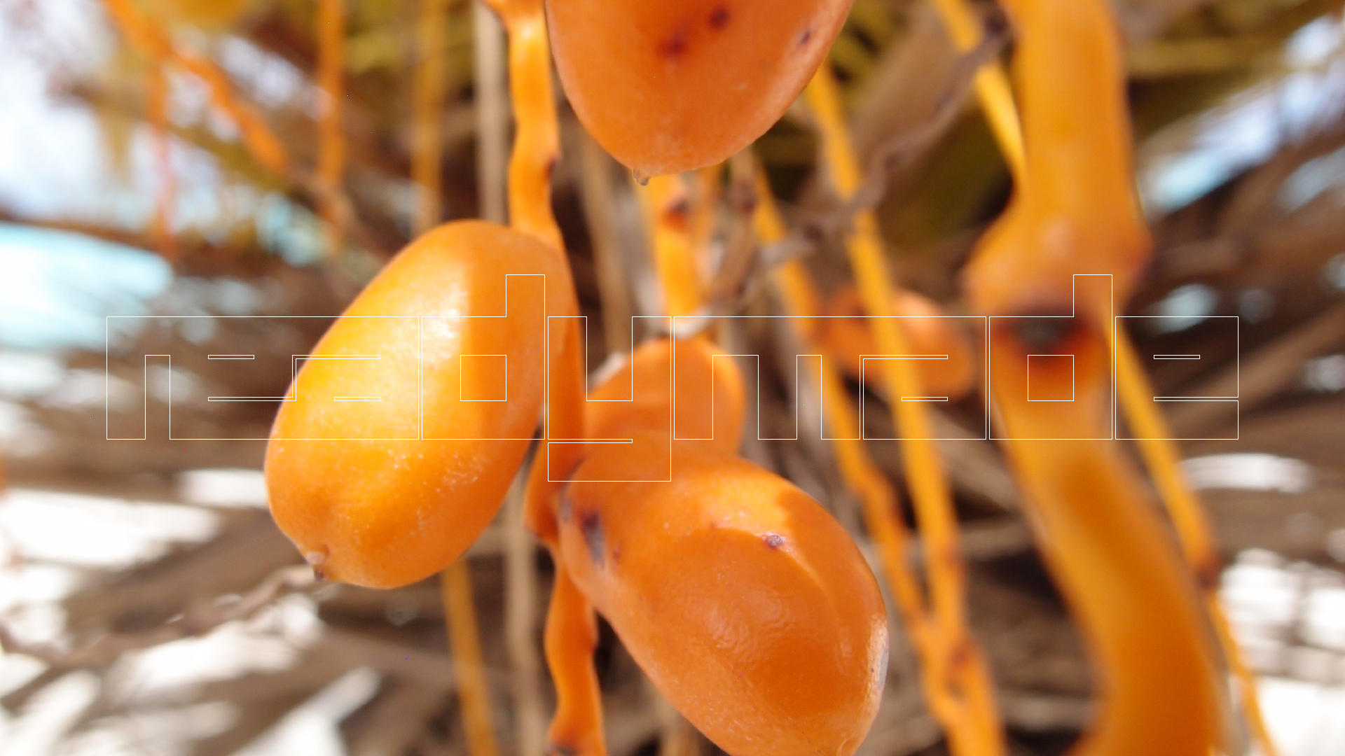 2022-04-25 Cas Abao (Foto)