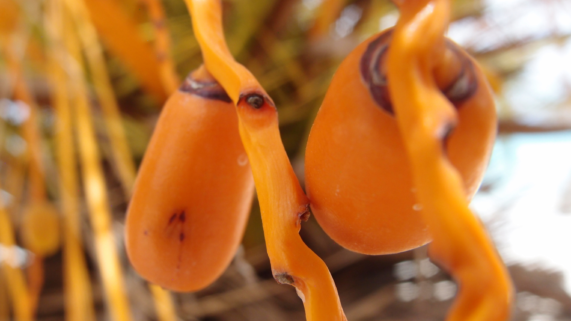 2022-04-25 Cas Abao (Foto)