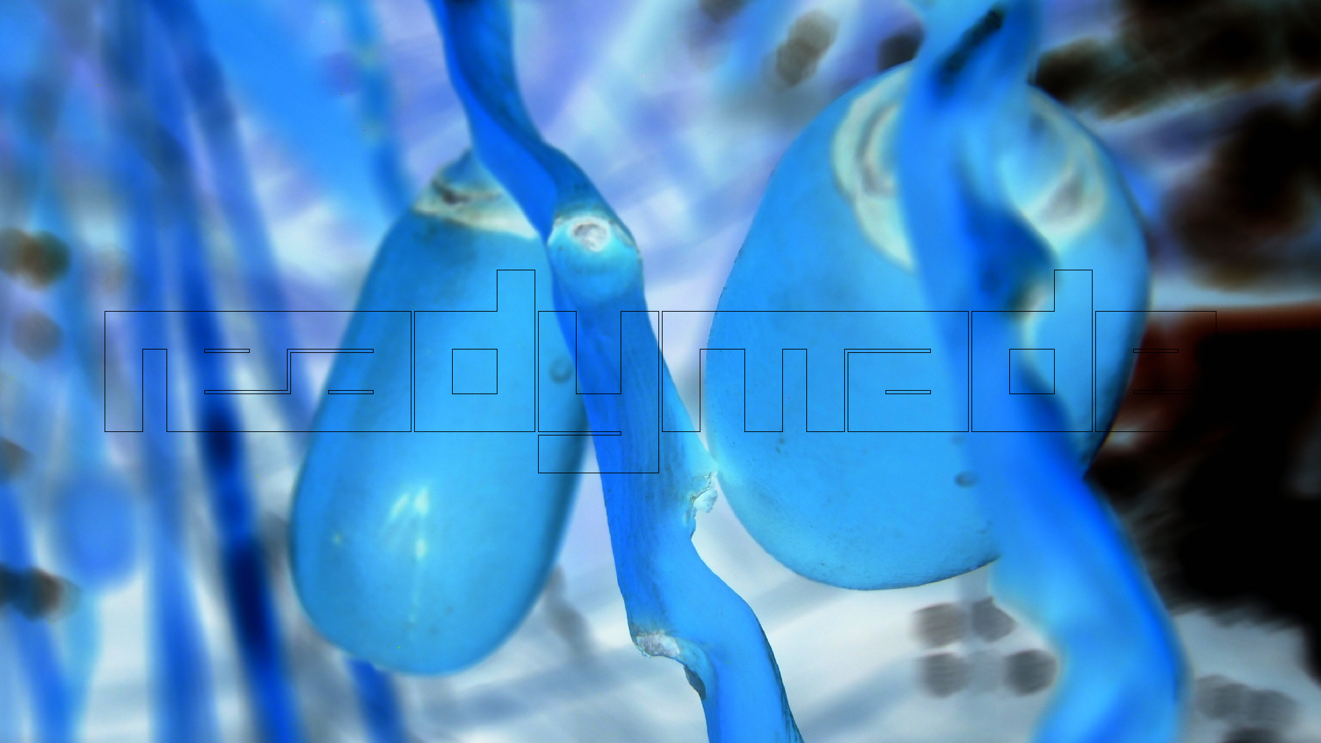 2022-04-25 Cas Abao (Foto)