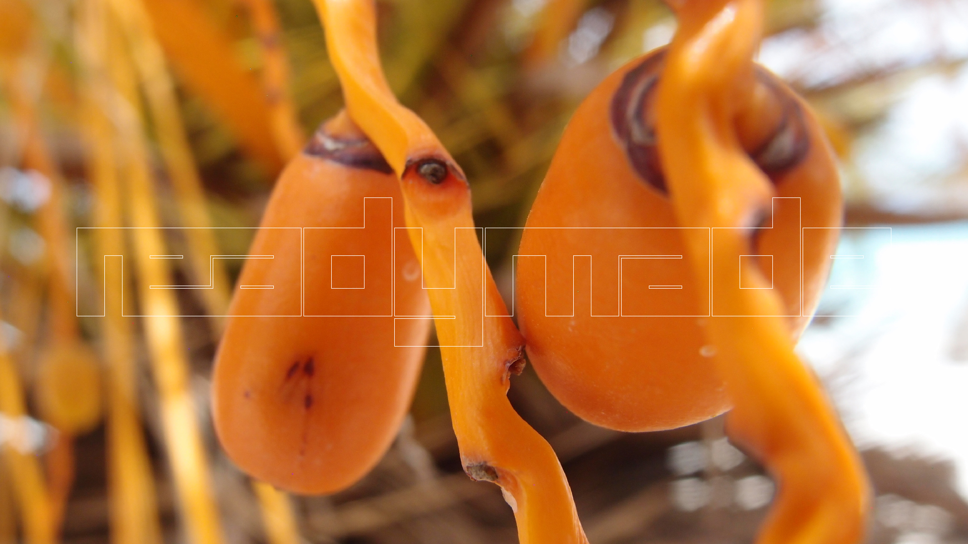 2022-04-25 Cas Abao (Foto)