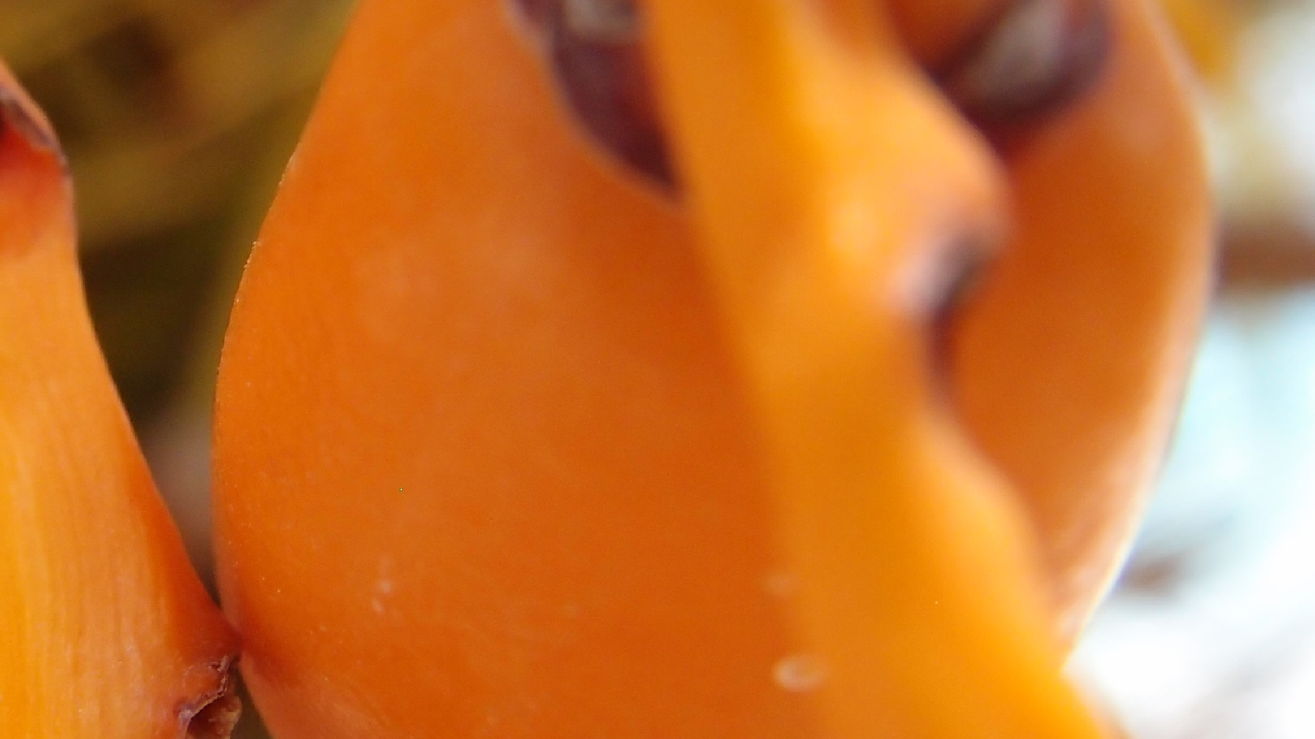 2022-04-25 Cas Abao (Foto)