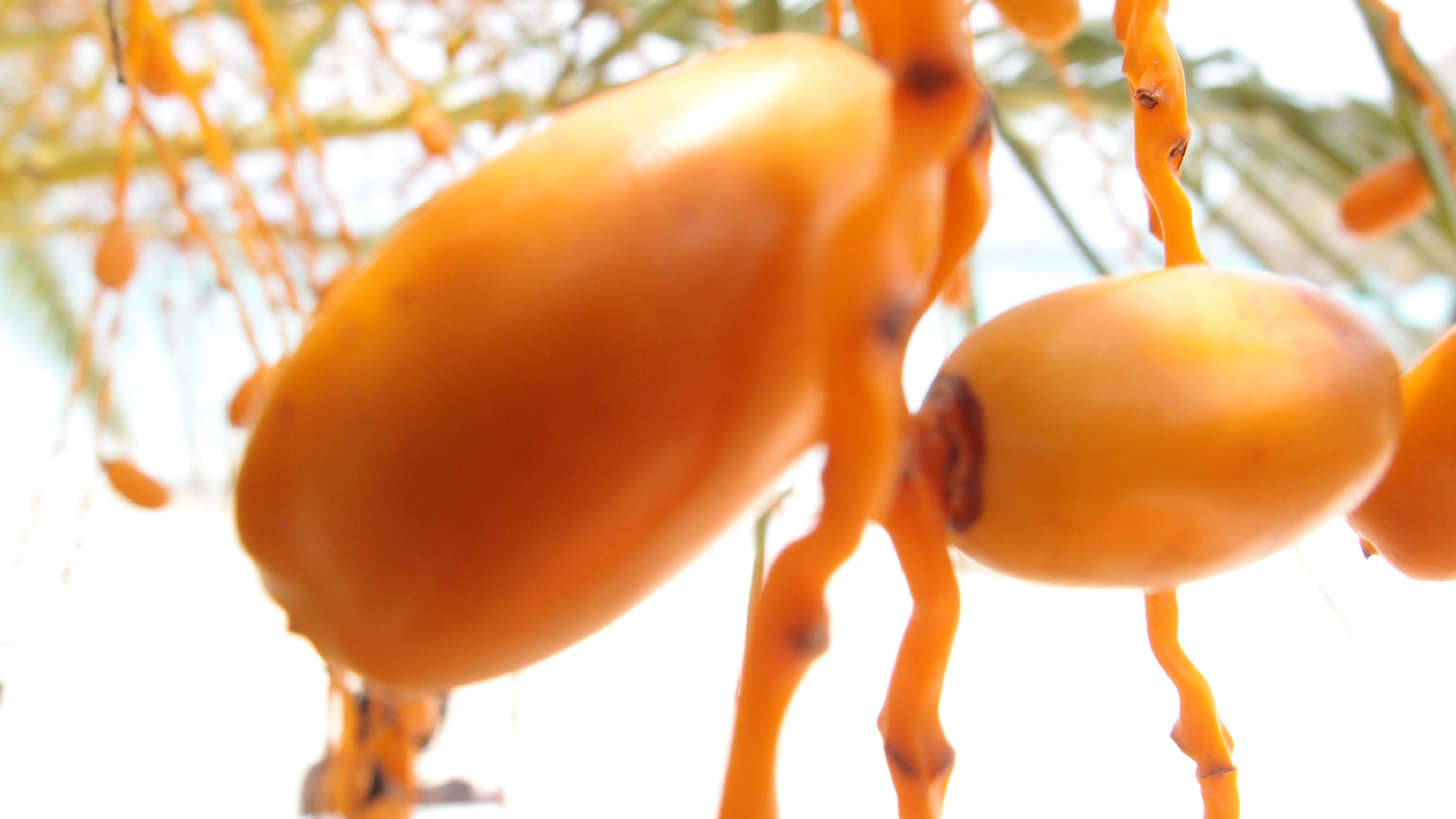 2022-04-25 Cas Abao (Foto)