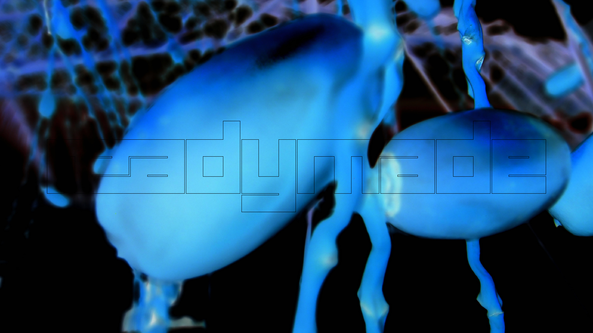 2022-04-25 Cas Abao (Foto)