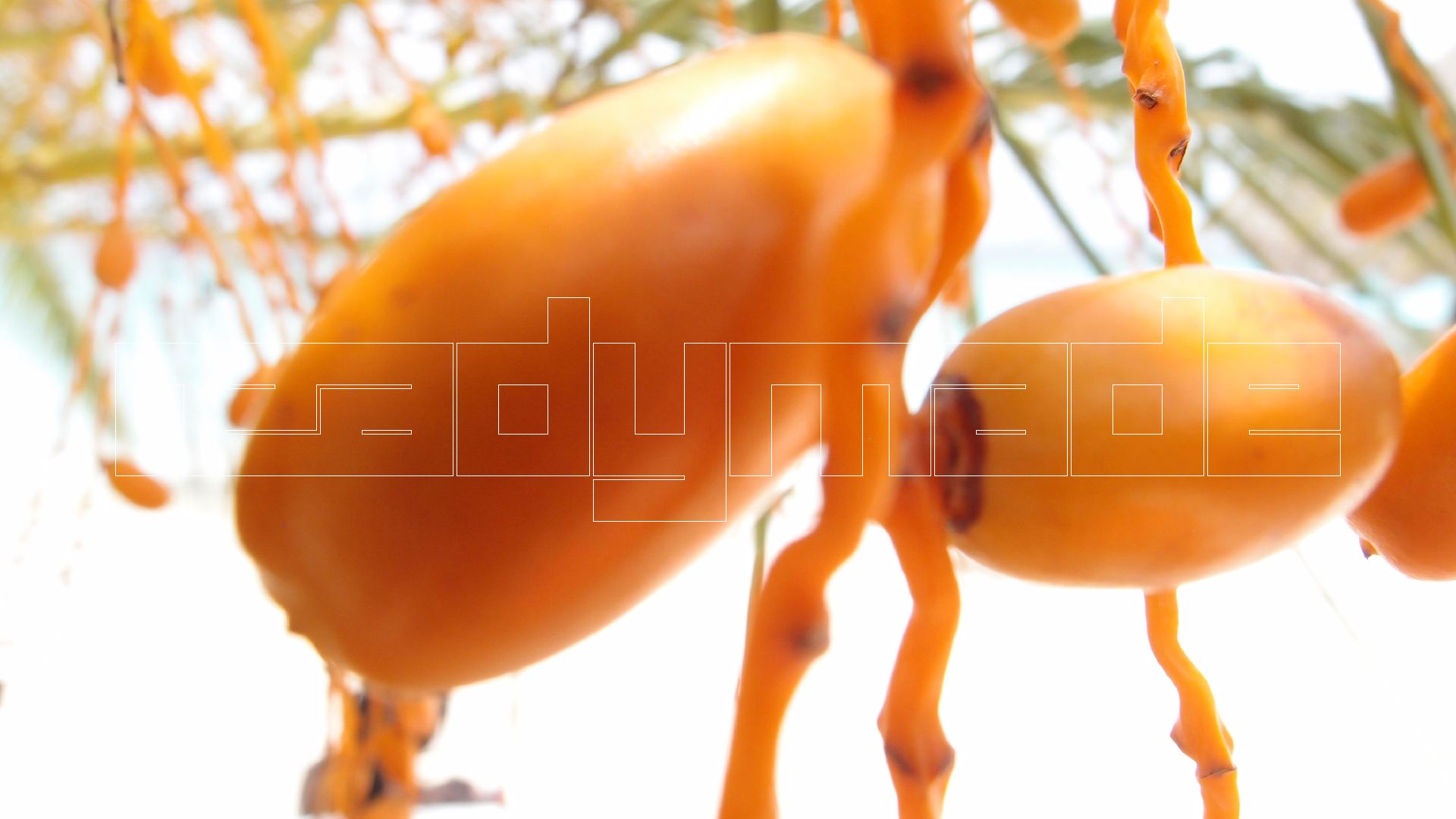 2022-04-25 Cas Abao (Foto)