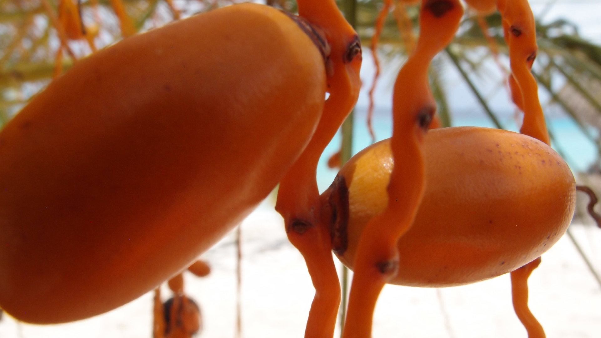 2022-04-25 Cas Abao (Foto)