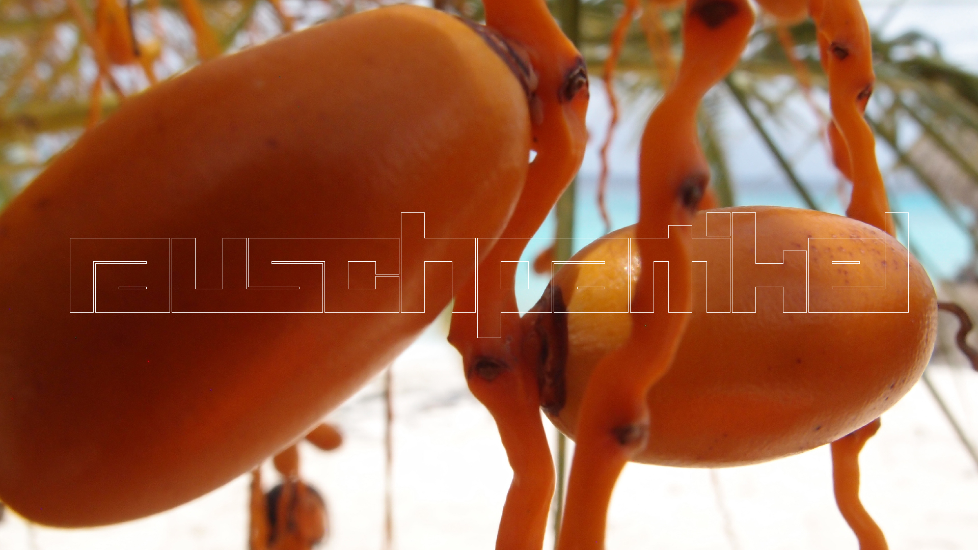 2022-04-25 Cas Abao (Foto)