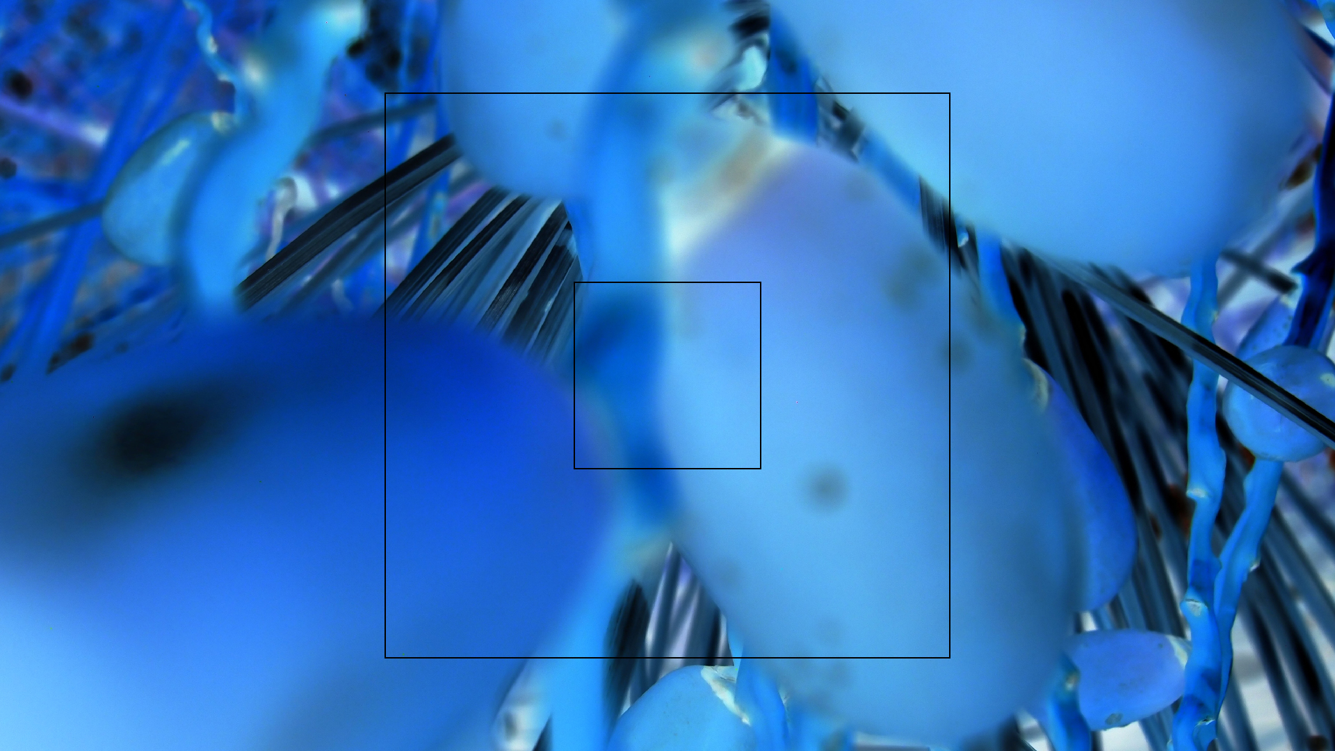 2022-04-25 Cas Abao (Foto)