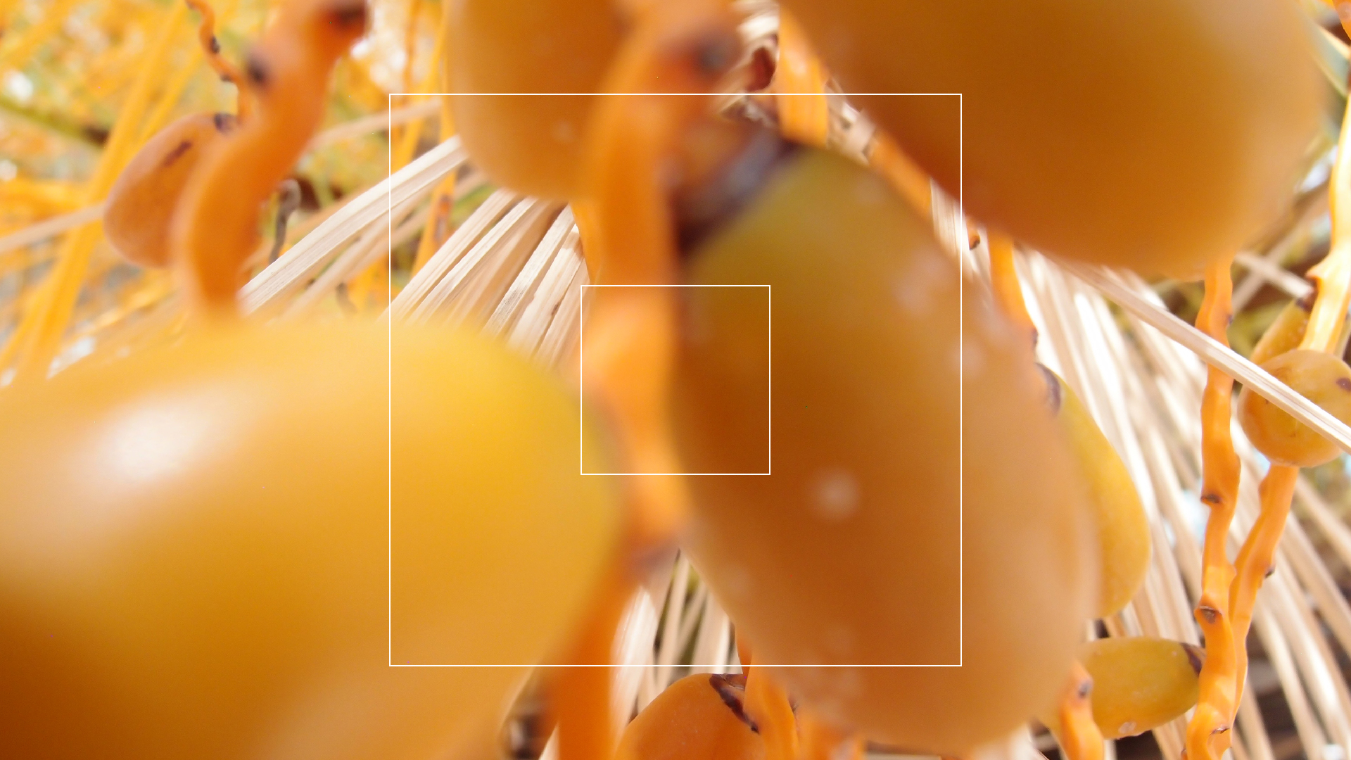 2022-04-25 Cas Abao (Foto)