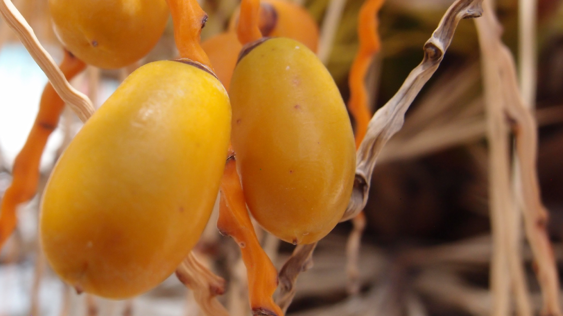 2022-04-25 Cas Abao (Foto)