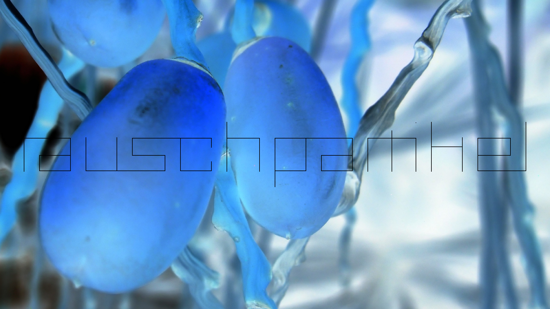 2022-04-25 Cas Abao (Foto)