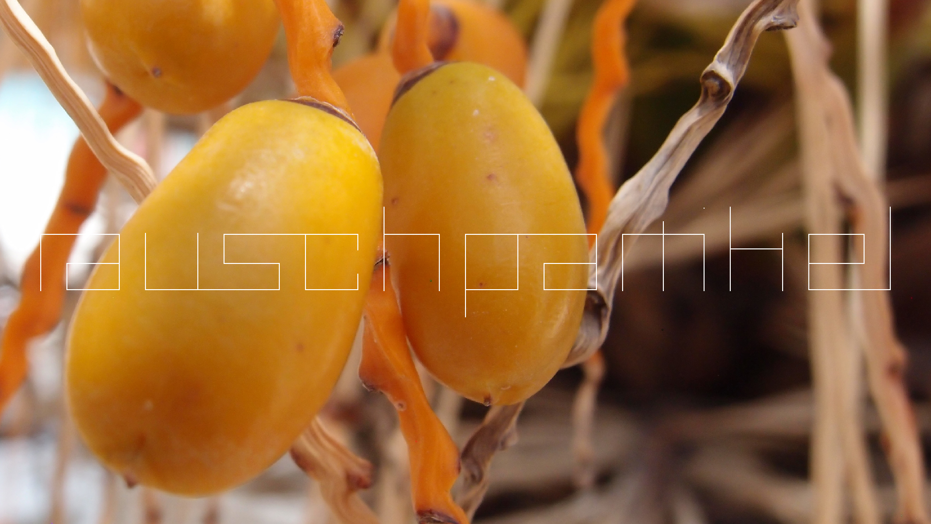 2022-04-25 Cas Abao (Foto)