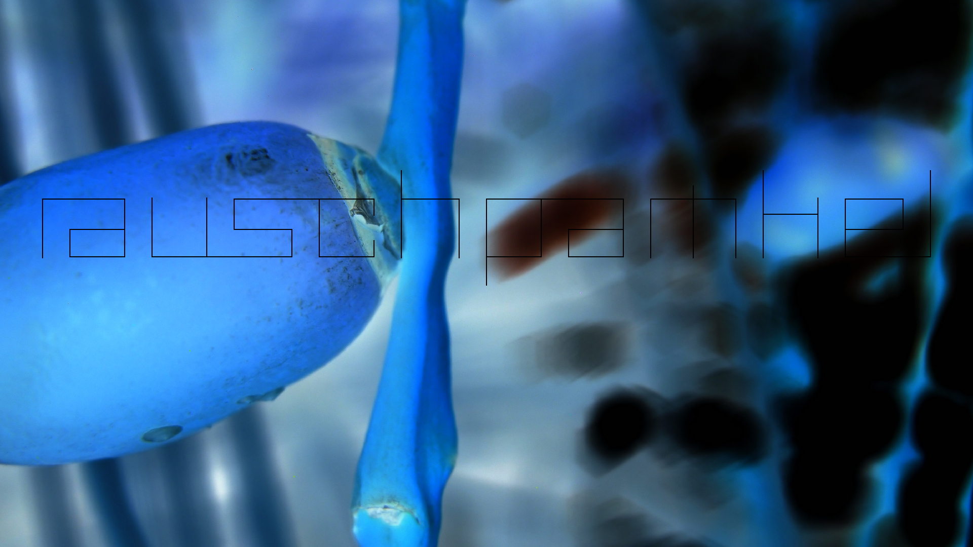 2022-04-25 Cas Abao (Foto)