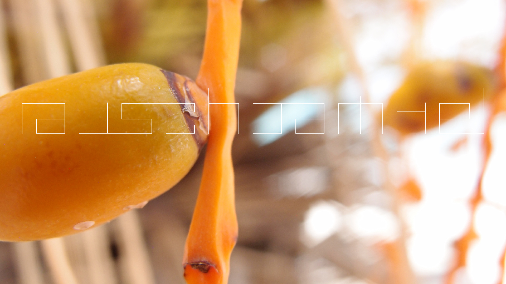 2022-04-25 Cas Abao (Foto)