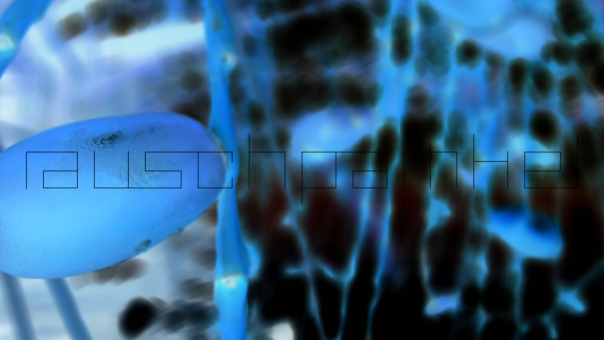 2022-04-25 Cas Abao (Foto)