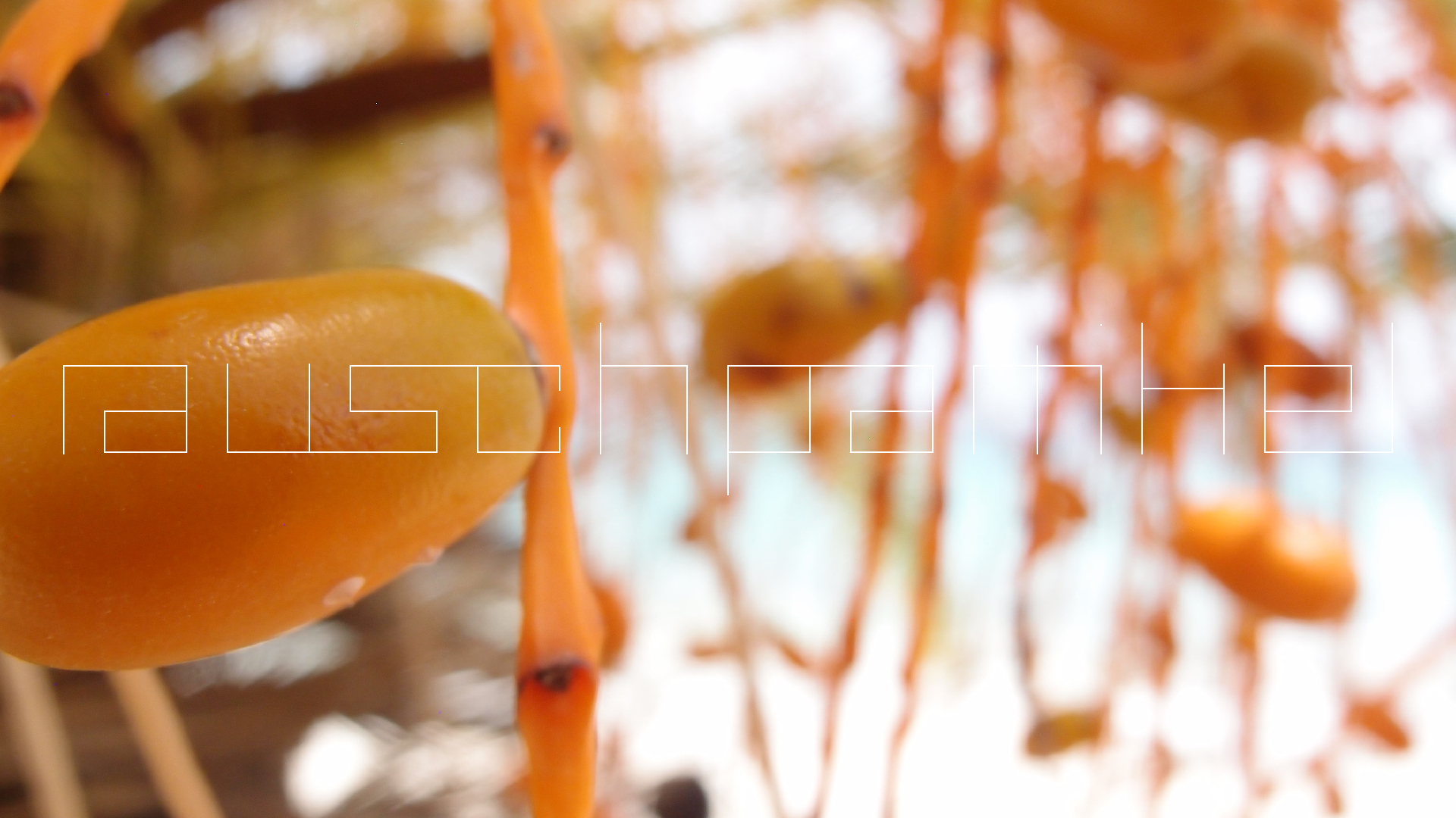 2022-04-25 Cas Abao (Foto)