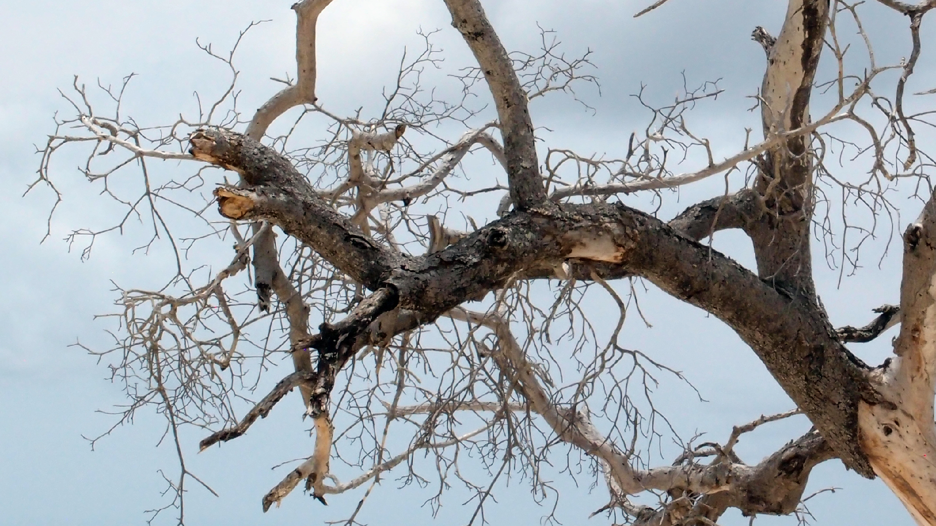 2022-04-25 Cas Abao (Foto)