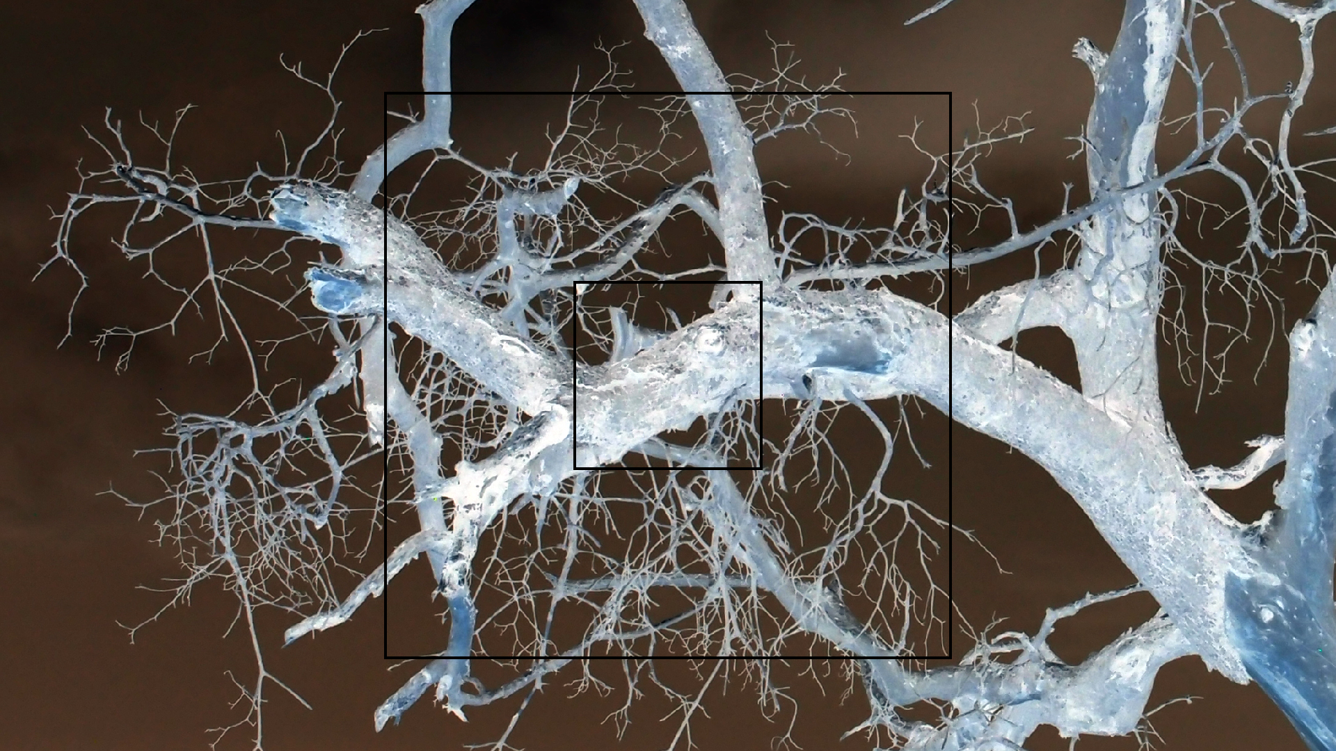 2022-04-25 Cas Abao (Foto)