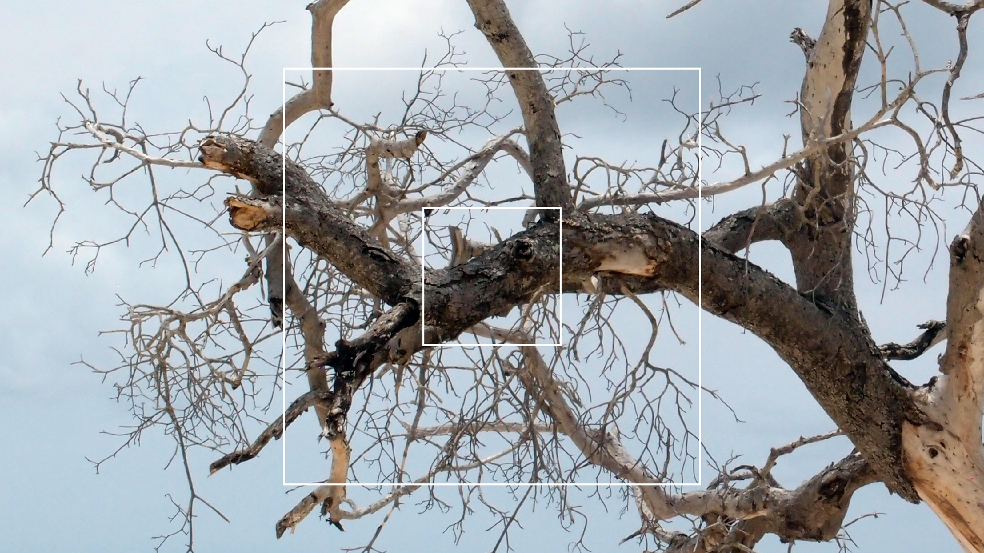 2022-04-25 Cas Abao (Foto)