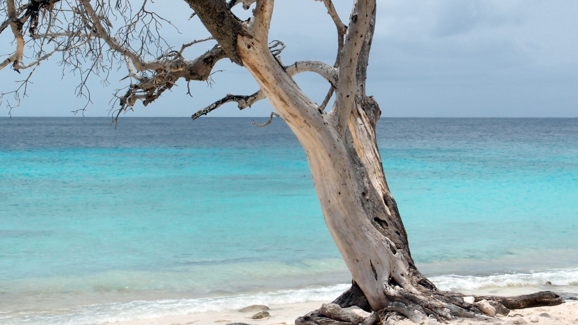 2022-04-25 Cas Abao (Foto)