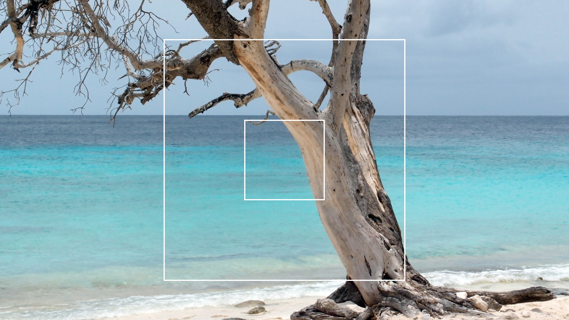 2022-04-25 Cas Abao (Foto)