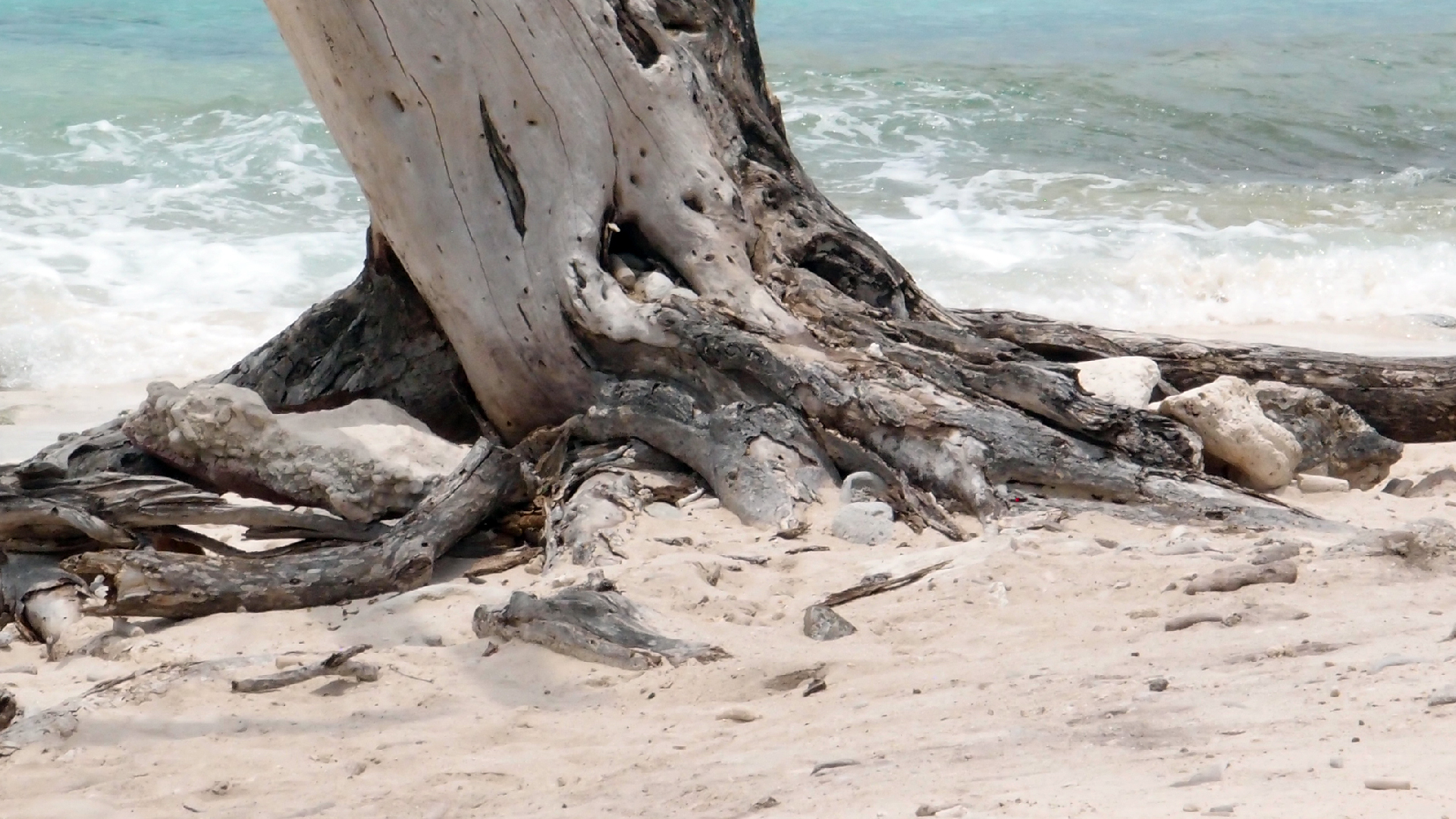 2022-04-25 Cas Abao (Foto)