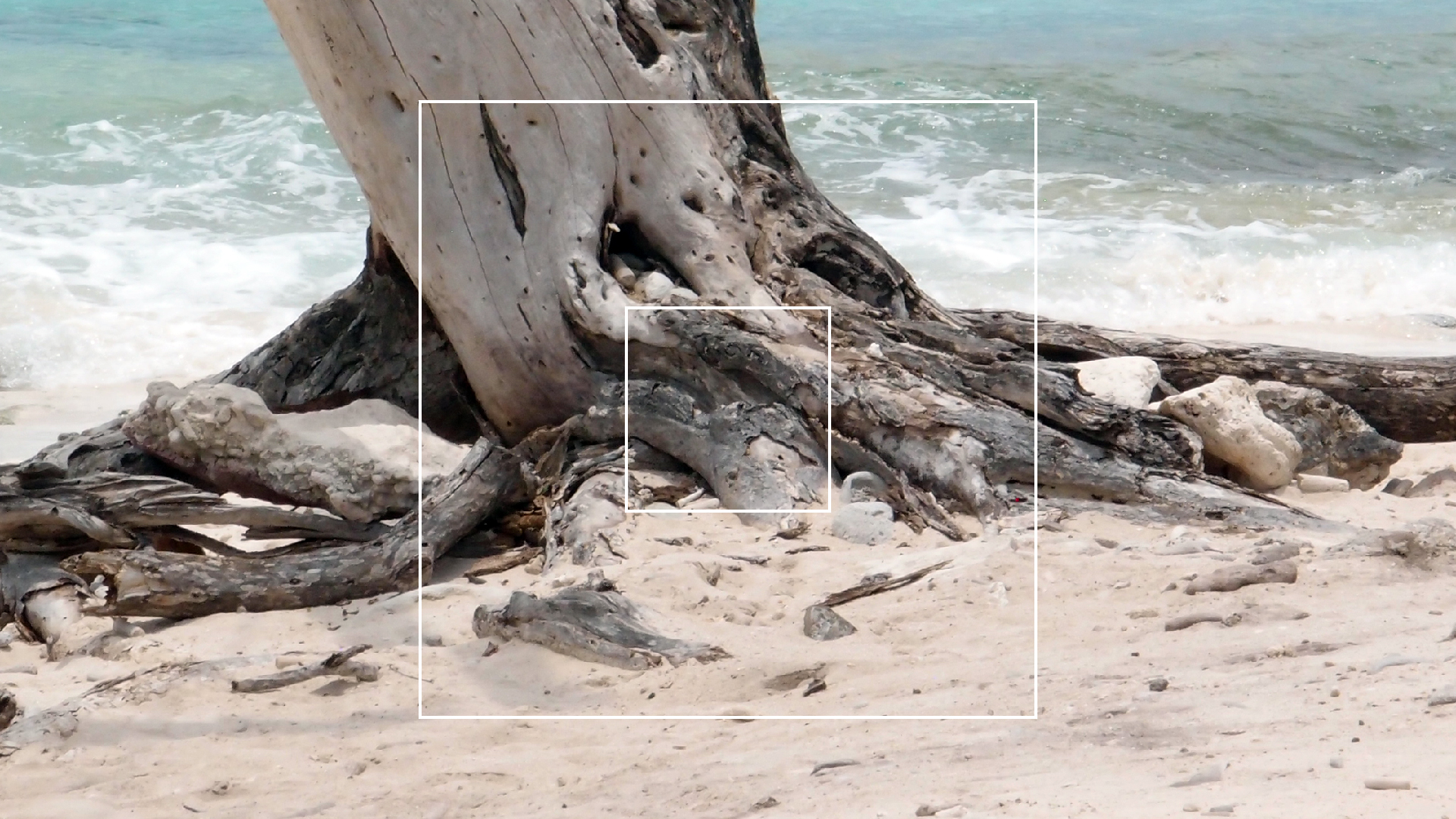 2022-04-25 Cas Abao (Foto)