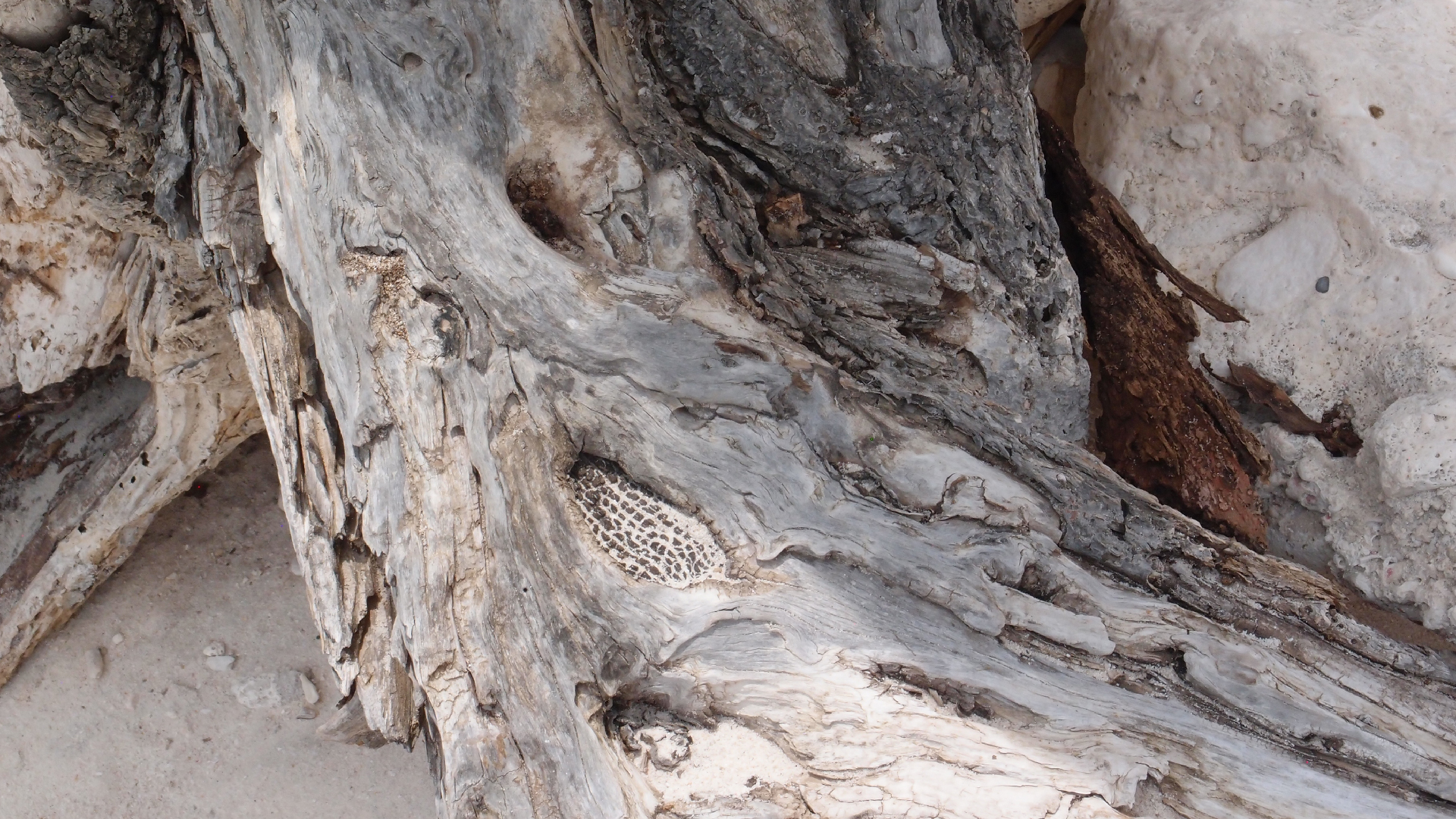 2022-04-25 Cas Abao (Foto)