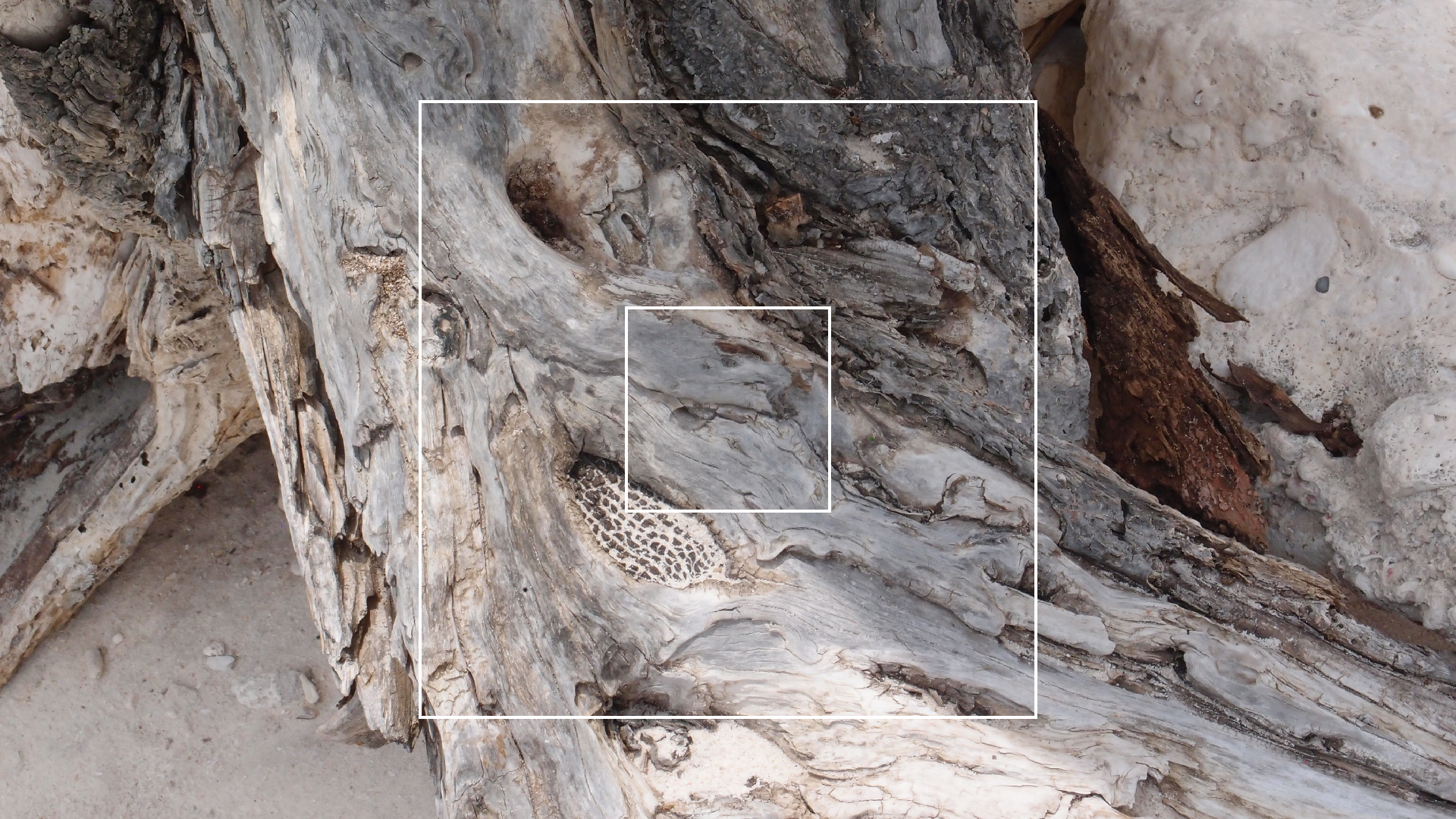 2022-04-25 Cas Abao (Foto)