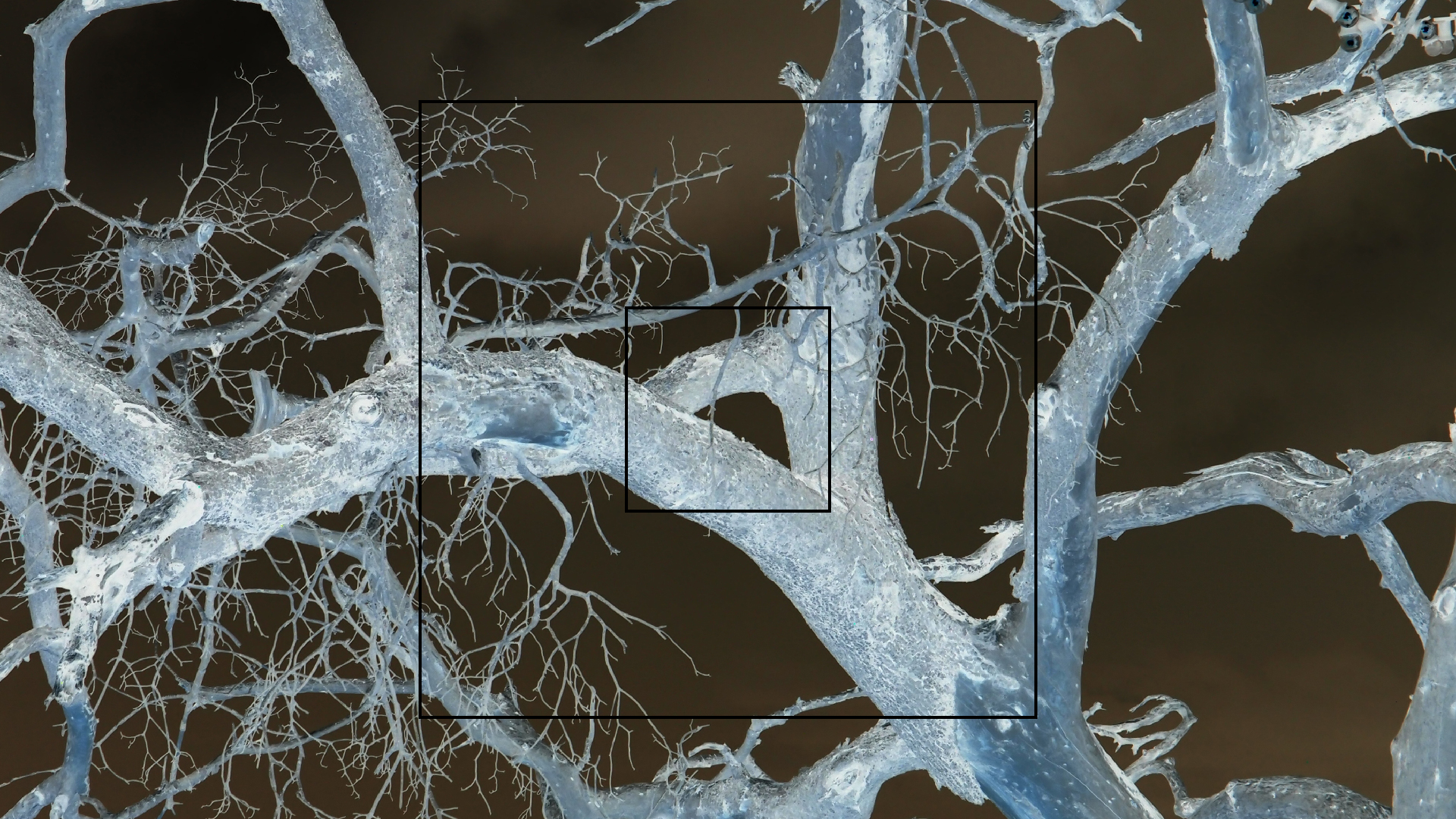 2022-04-25 Cas Abao (Foto)