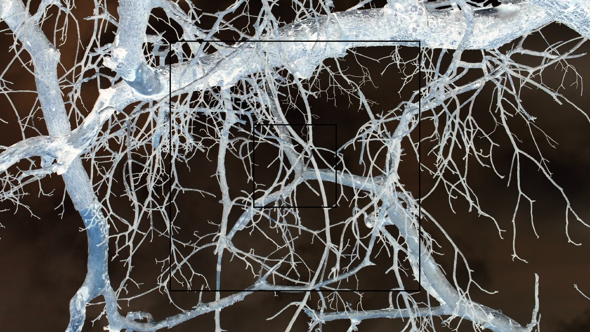 2022-04-25 Cas Abao (Foto)