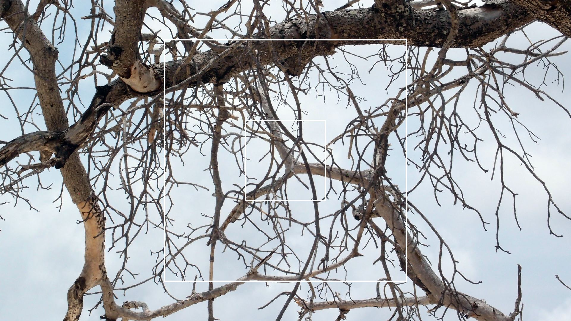 2022-04-25 Cas Abao (Foto)