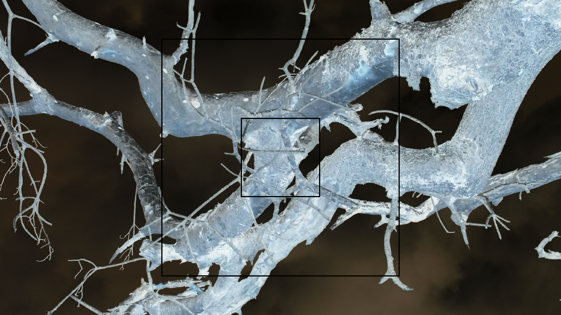 2022-04-25 Cas Abao (Foto)