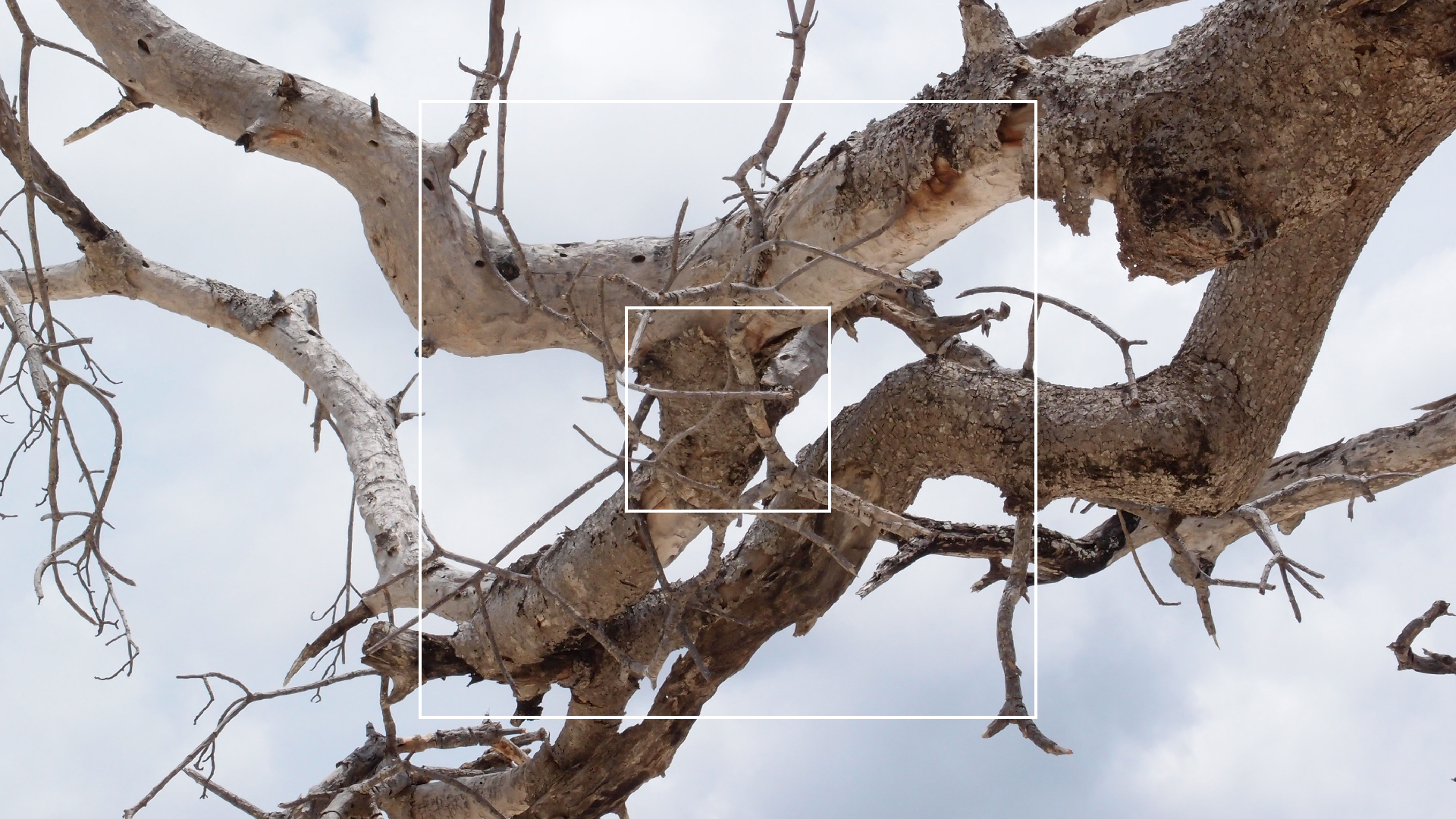 2022-04-25 Cas Abao (Foto)