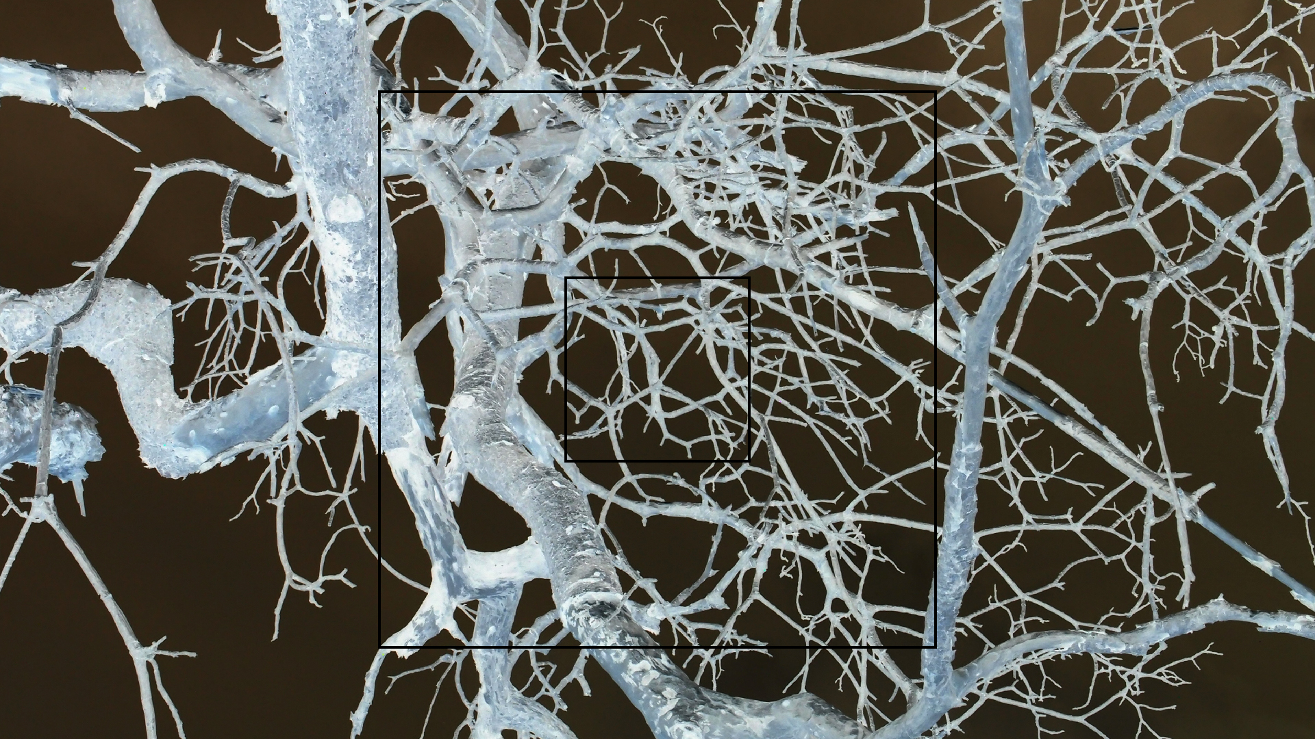 2022-04-25 Cas Abao (Foto)