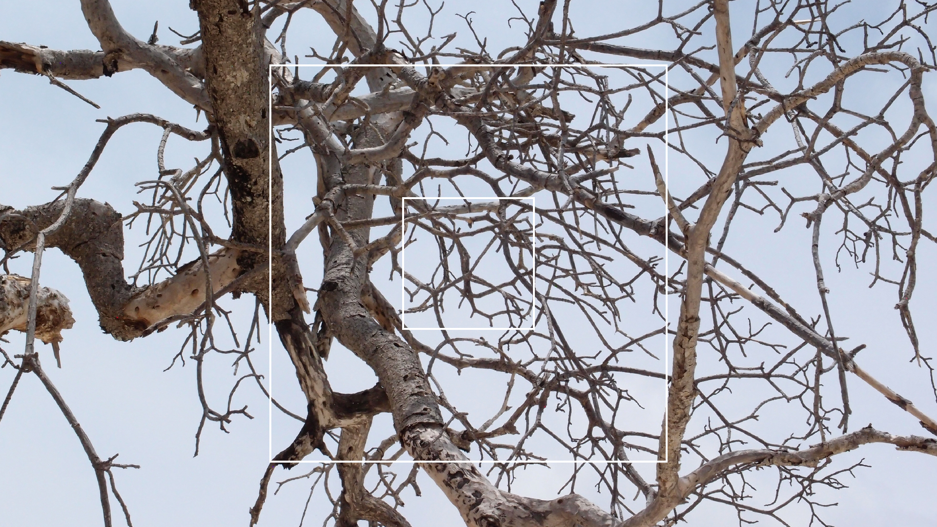 2022-04-25 Cas Abao (Foto)