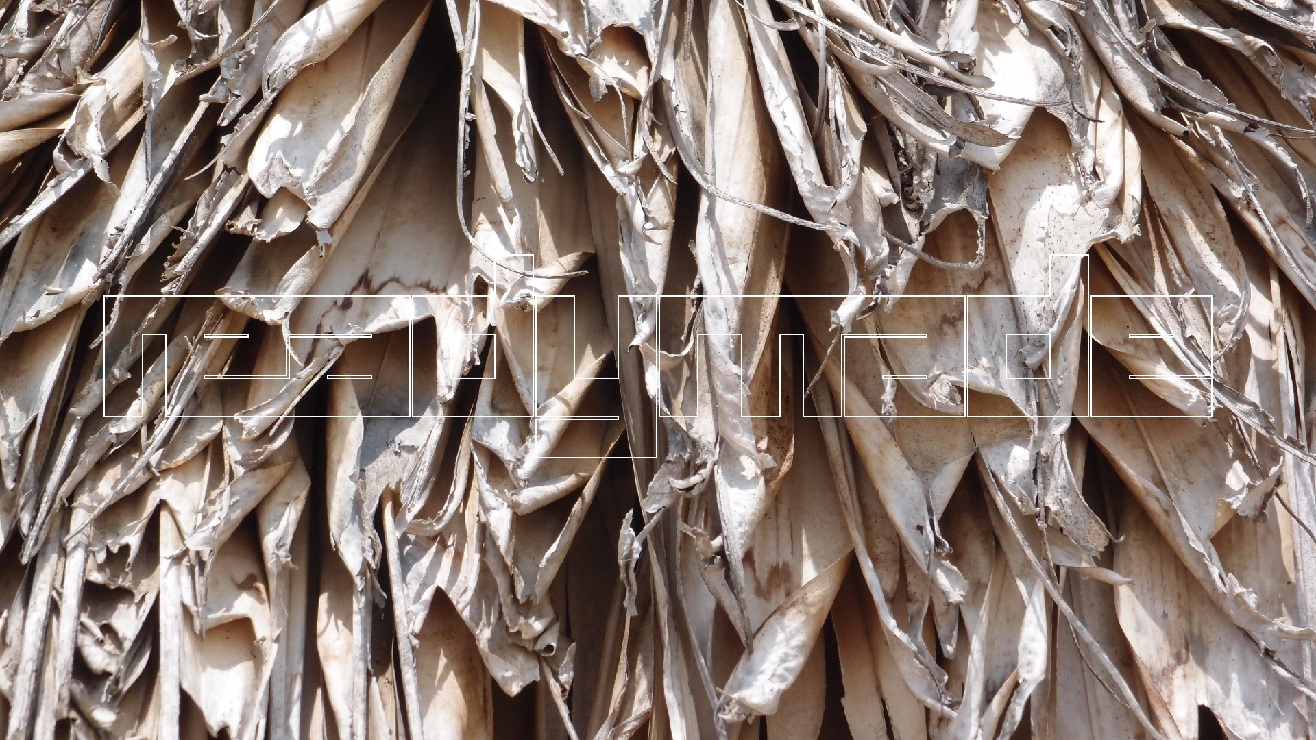 2022-04-25 Cas Abao (Foto)