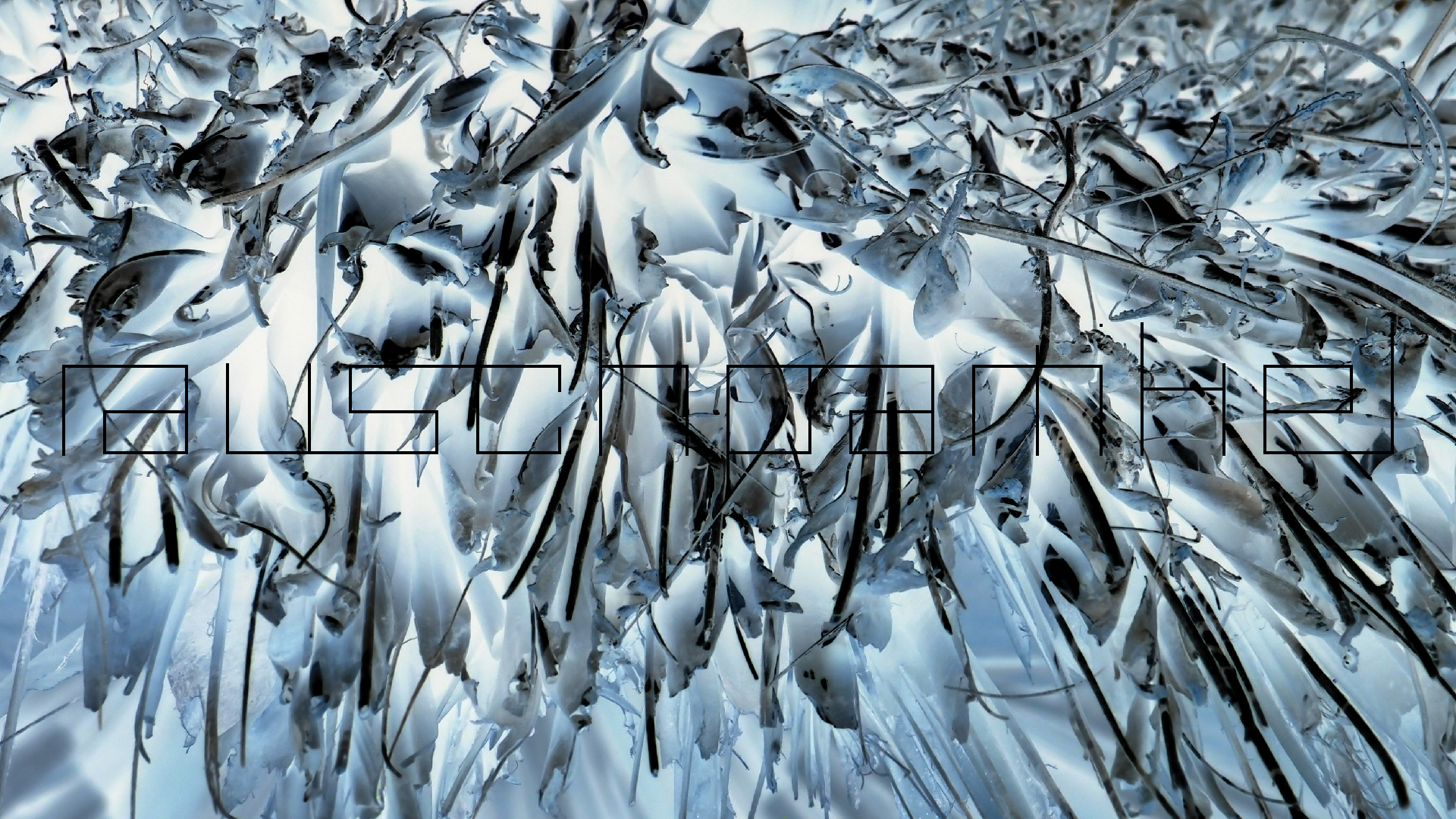 2022-04-25 Cas Abao (Foto)