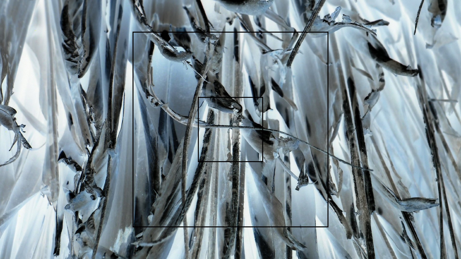 2022-04-25 Cas Abao (Foto)