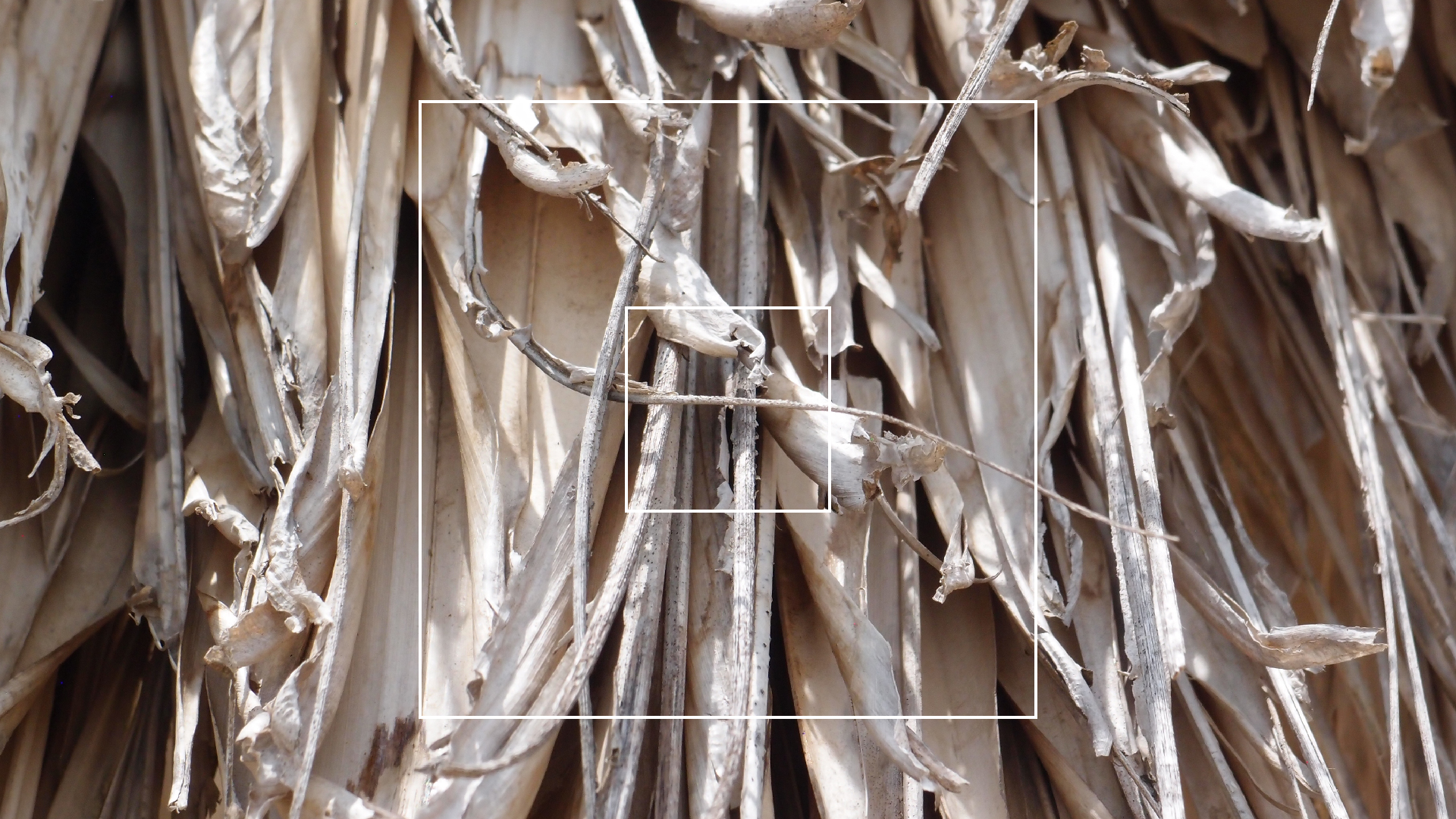 2022-04-25 Cas Abao (Foto)