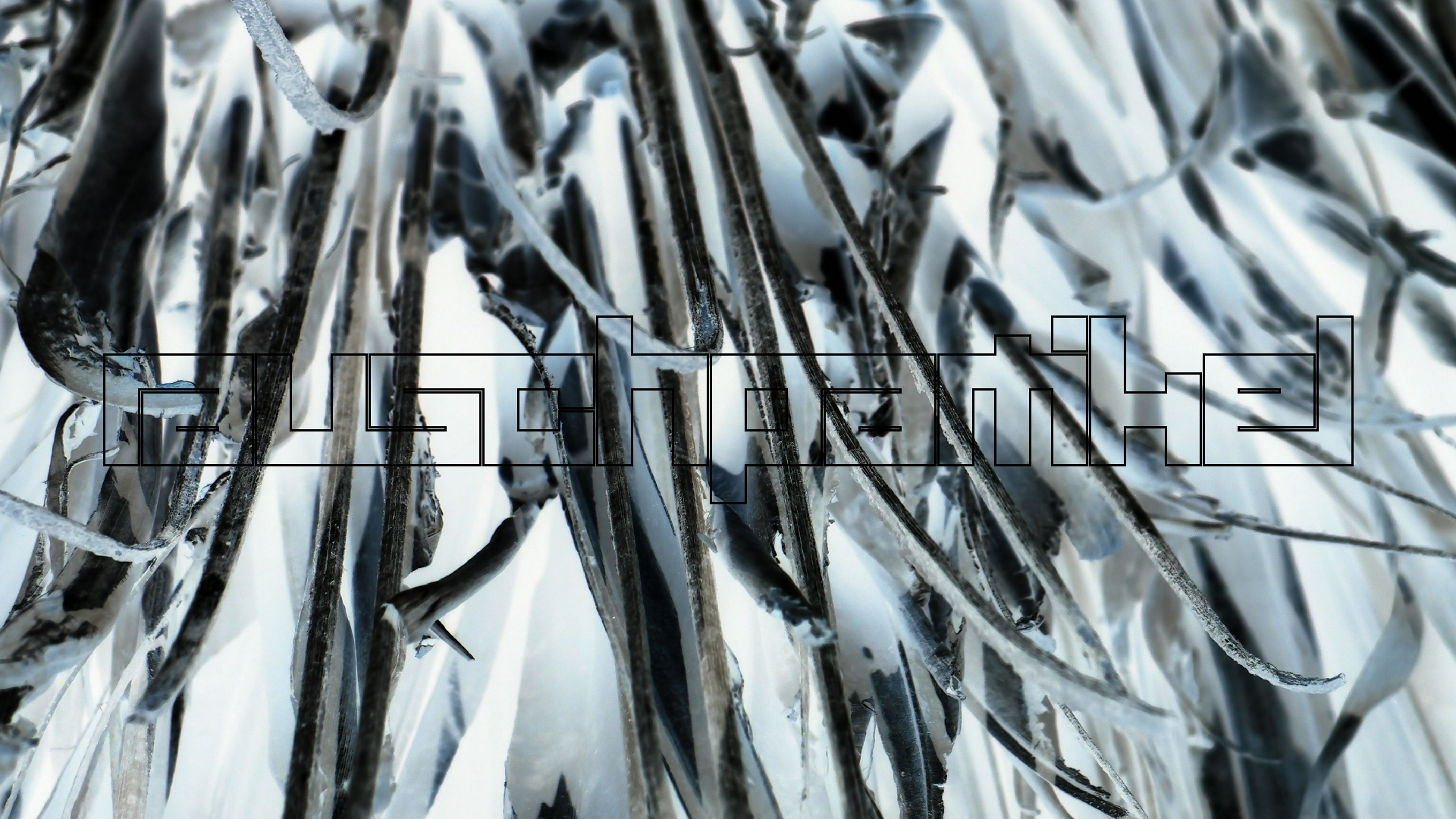 2022-04-25 Cas Abao (Foto)