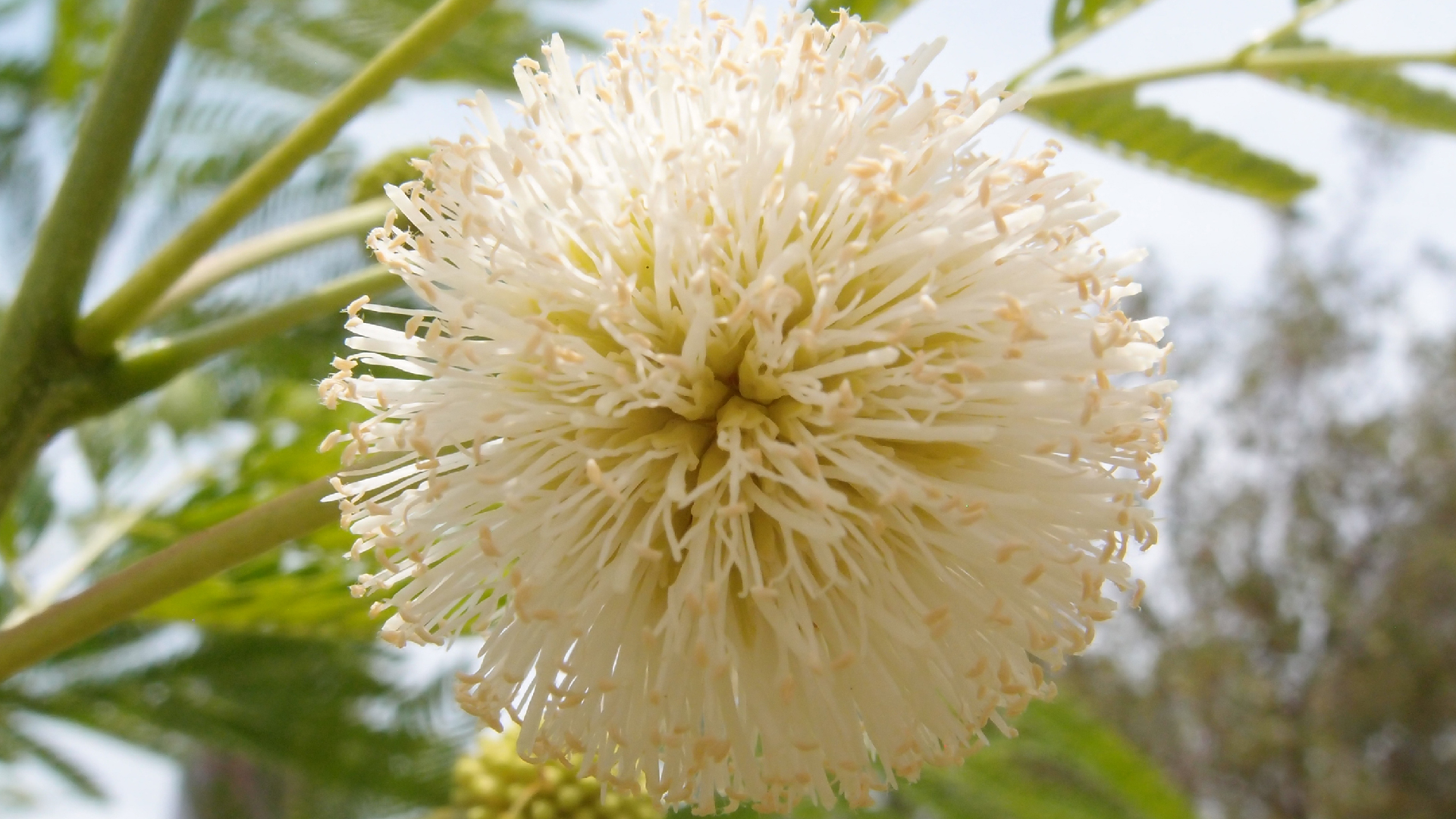 2022-04-25 Cas Abao (Foto)