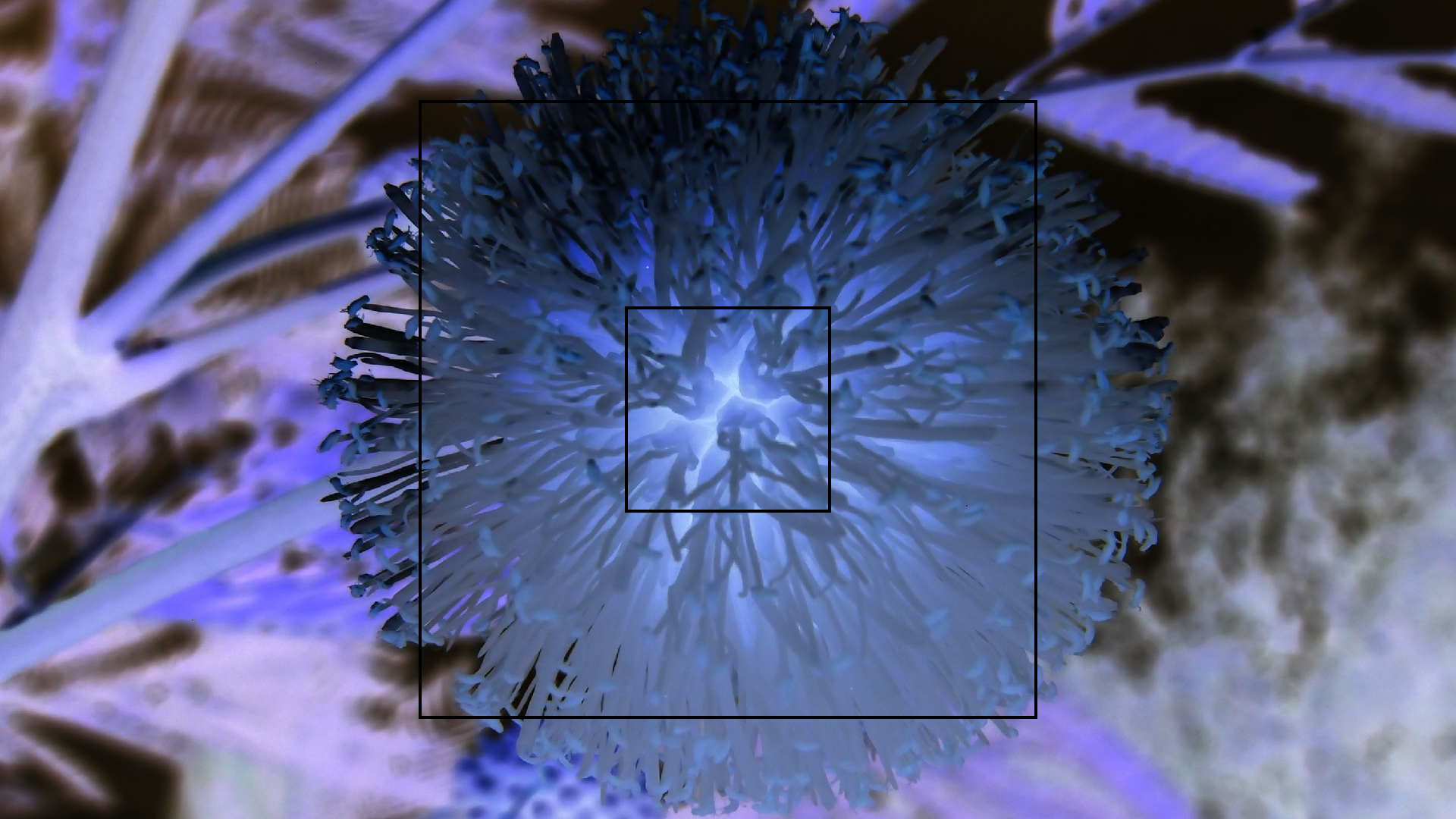 2022-04-25 Cas Abao (Foto)