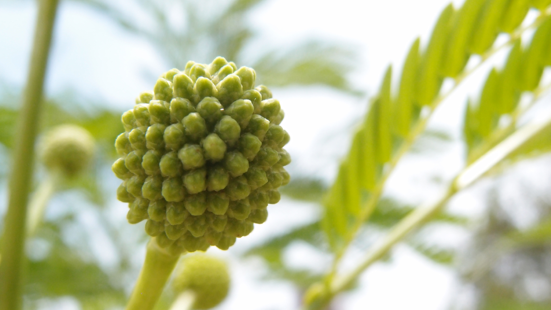 2022-04-25 Cas Abao (Foto)