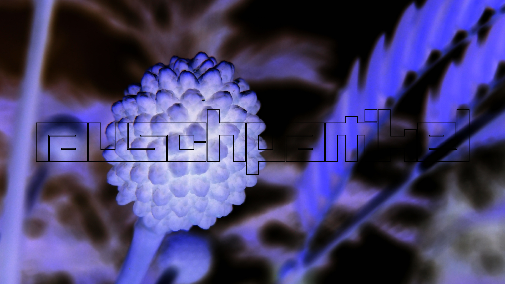 2022-04-25 Cas Abao (Foto)